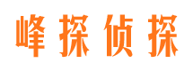 林甸外遇调查取证